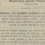 Parcul George Ioanid – evocare reconstruită cu ajutorul unei vechi reclame de ziar