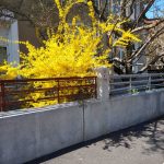 Orașul contemporan. Sufletele colorate ale Bucureștiului