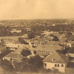 Grădinile particulare ale Bucureștiului de ieri și de astăzi