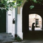 Orașul contemporan | „CURȚILE BUCUREȘTENE. Potențialul ascuns al morfologiei urbane”